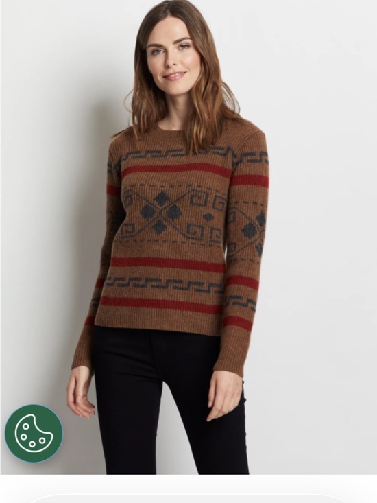 Pendleton Sweaters - Pendleton Westerly Wool Sweater NWT L